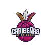 加拉加斯勒比女篮